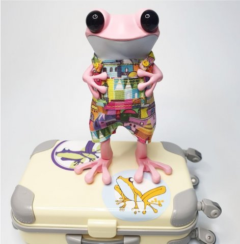 APO Frogs-Townie Froggie